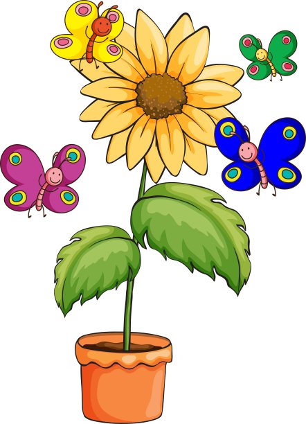 一个有开花植物的花盆，色彩斑斓图片下载