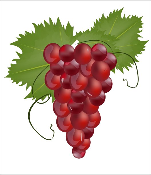 红葡萄图片下载