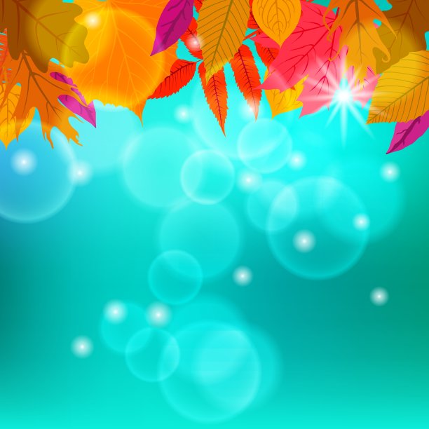 卡片与秋天的装饰和树叶图片下载