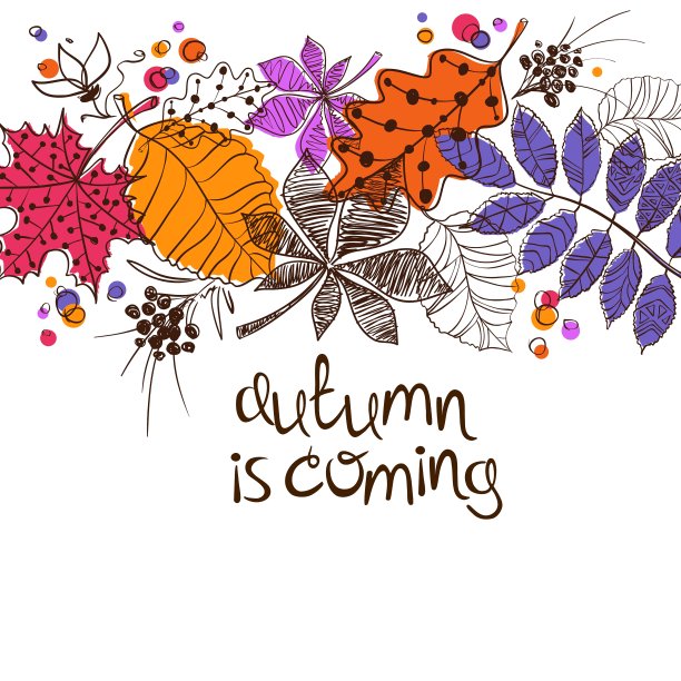 缤纷秋叶概念图片下载