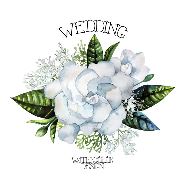 水彩栀子和吉普赛菲小品图片下载