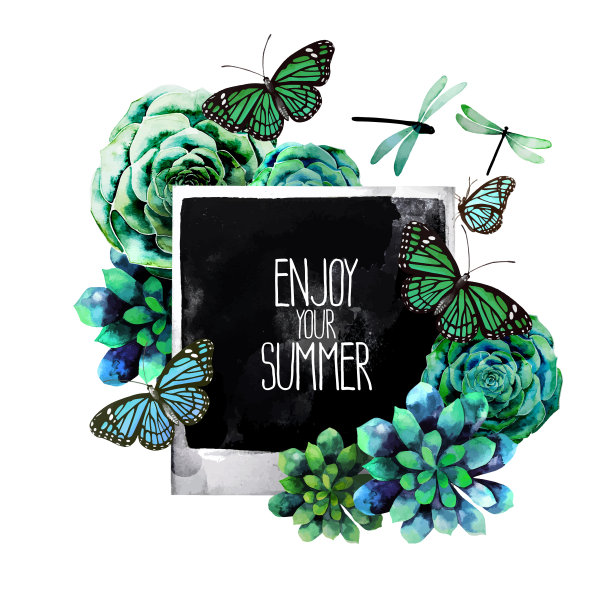 水彩设计多肉和照片图片下载