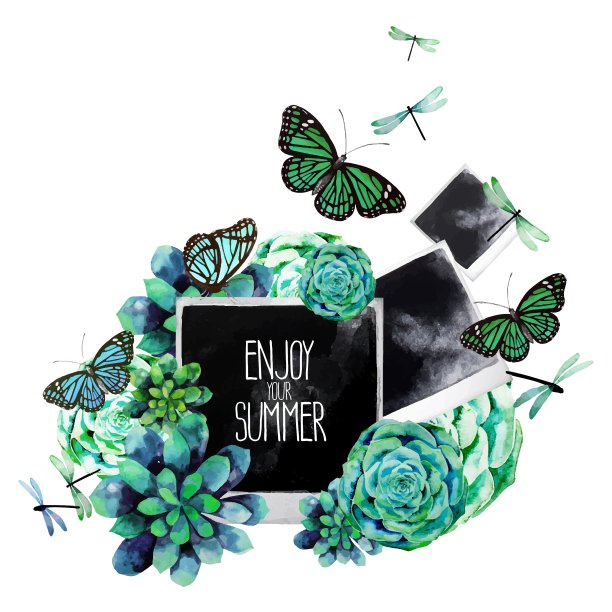 水彩设计多肉和照片图片下载