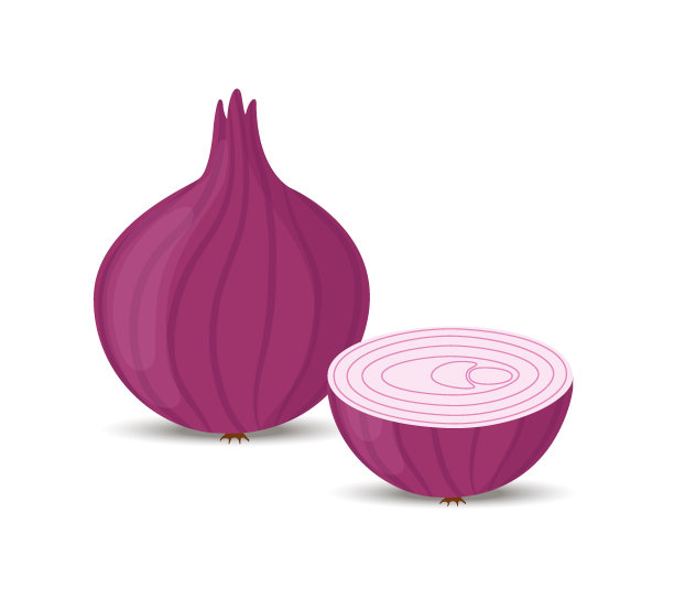 向量洋葱组，切片和整个紫色蔬菜图片下载