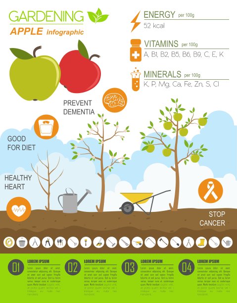 园艺工作耕作信息图苹果图形图片下载