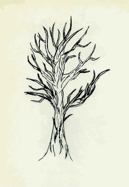 树涂鸦图片下载