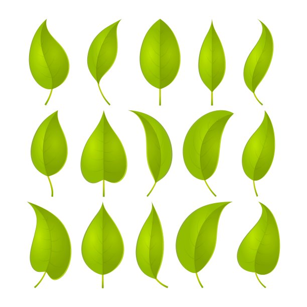 绿叶集图片下载