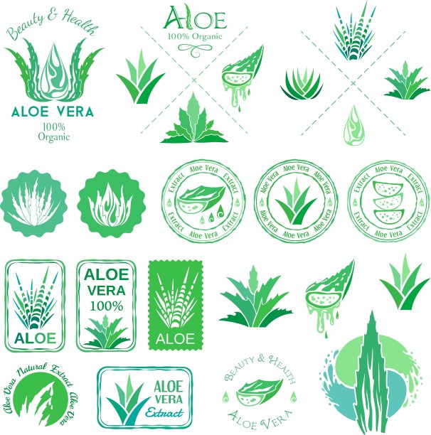芦荟设计元素模板风格图片下载