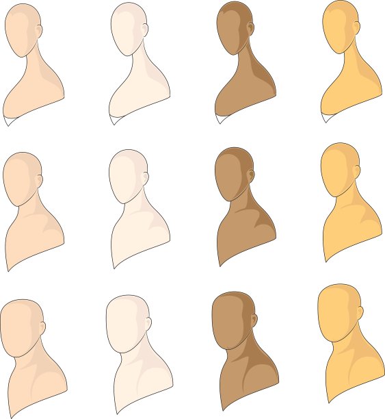 人体模型图片下载