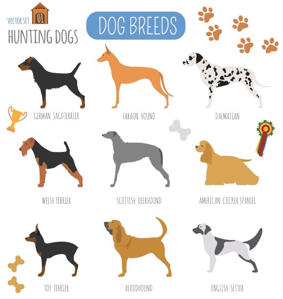 猎犬品种图标扁平风格合集图片下载