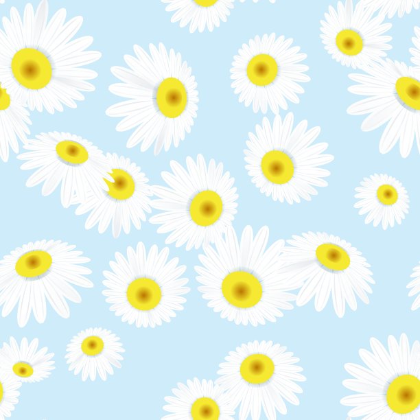 无缝纹理与花EPS 10图片下载