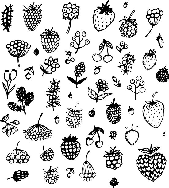 为你的设计收集浆果的草图图片下载