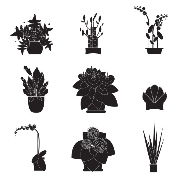 花园里的盆花图片下载