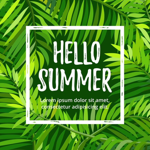 有棕榈叶的夏日派对海报图片下载