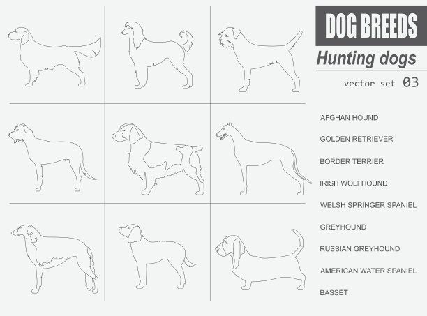 猎犬品种图标扁平风格合集图片下载