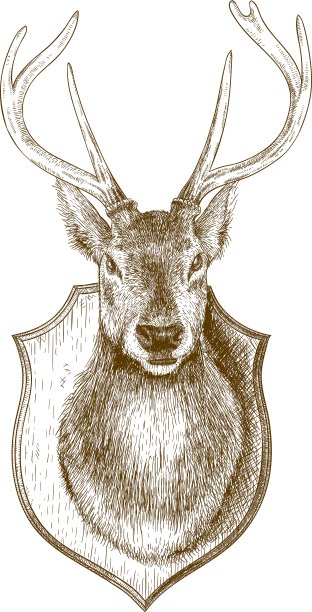 雕刻填充鹿头图片下载