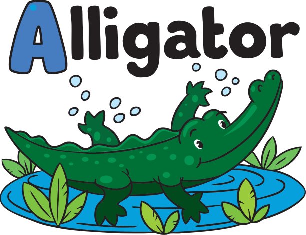 小鳄鱼或鳄鱼图片下载