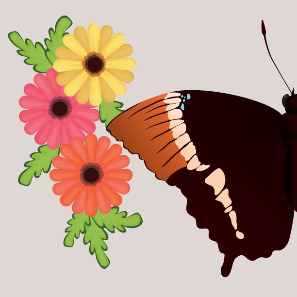 蝴蝶设计图片下载