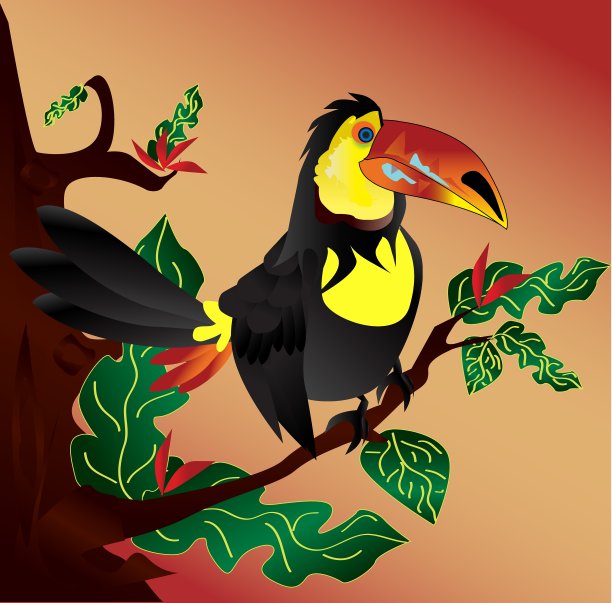 可爱的鹦鹉图片下载