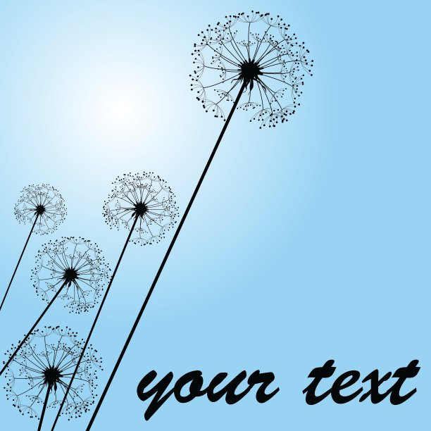 蒲公英淡蓝色图片下载