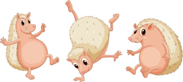 三个动物玩图片下载