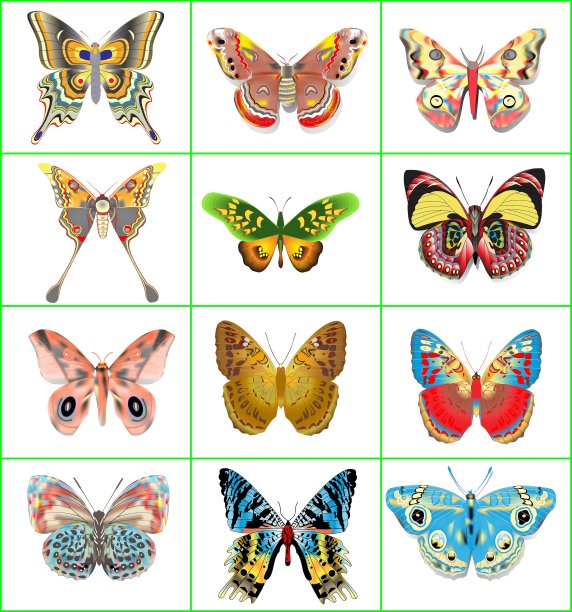 装饰蝴蝶套装图片下载