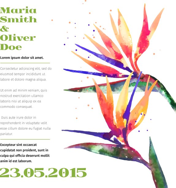 背景与苍蝇子花图片下载