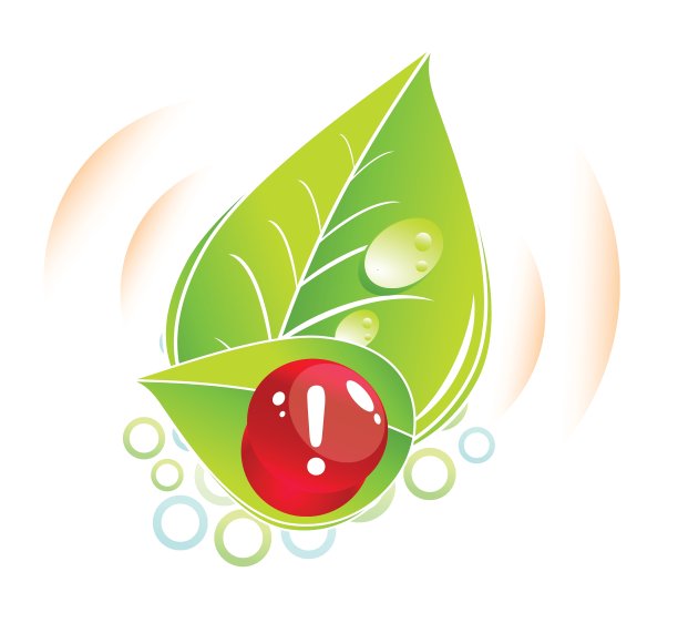 地球和大自然图片下载