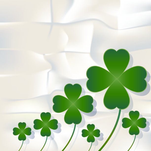 三叶草和三叶草在白纸上图片下载