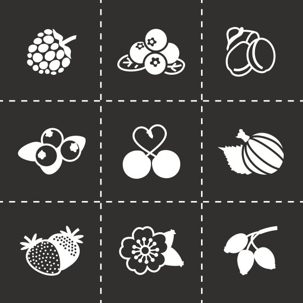 浆果图标设置图片下载