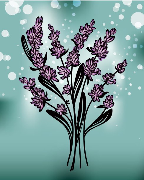 薰衣草图片下载