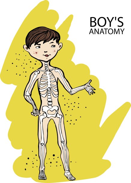 卡通解剖学的孩子可爱的男孩和他的骨骼图片下载