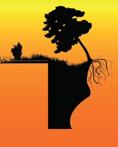 悬崖上的树图片下载