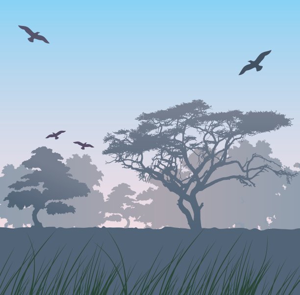 森林在日出图片下载