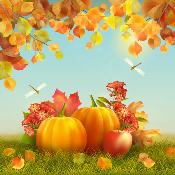 秋天感恩节卡片图片下载