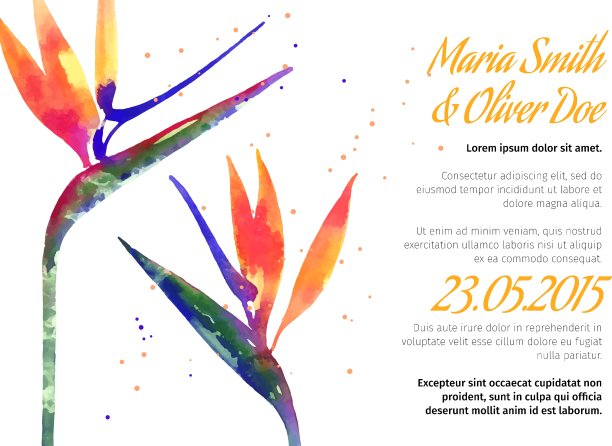 背景与苍蝇子花图片下载