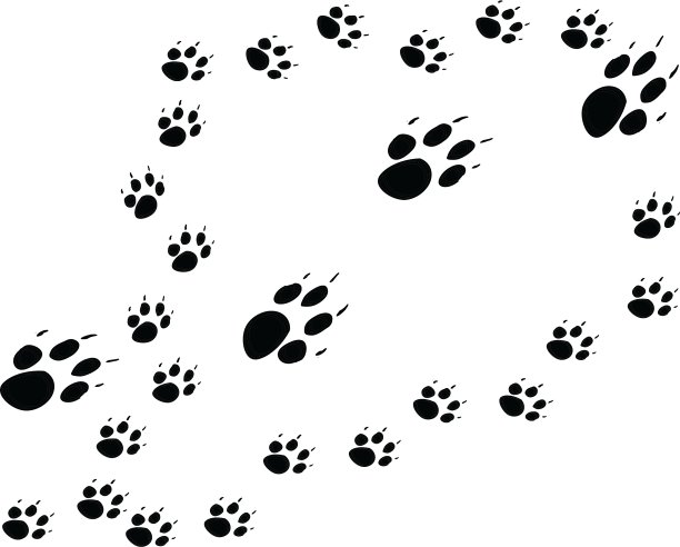 母亲和幼崽图片下载