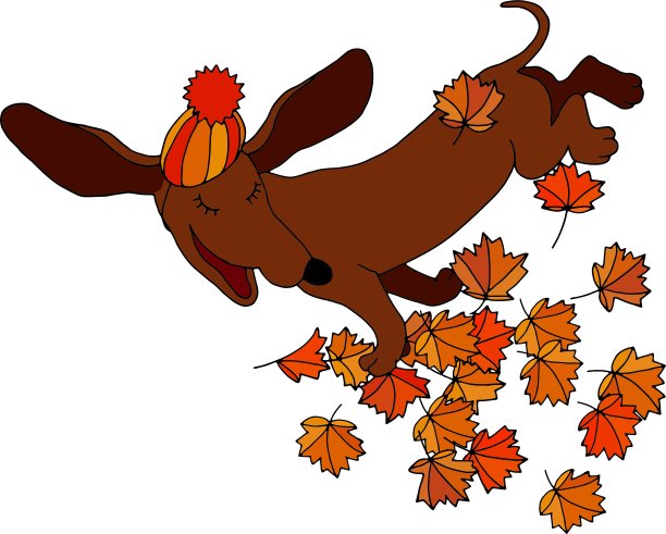 把枫叶投进去的提成费图片下载