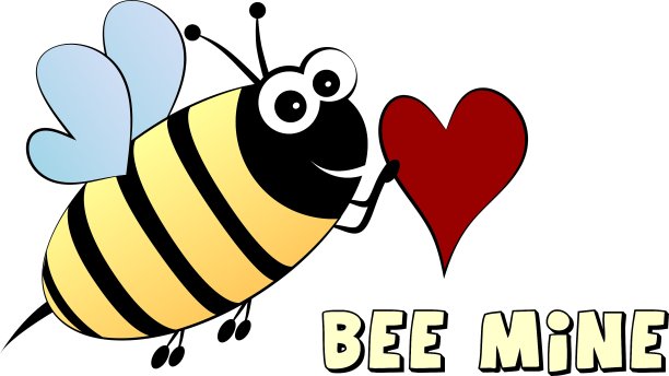 蜜蜂我的爱的概念图片下载