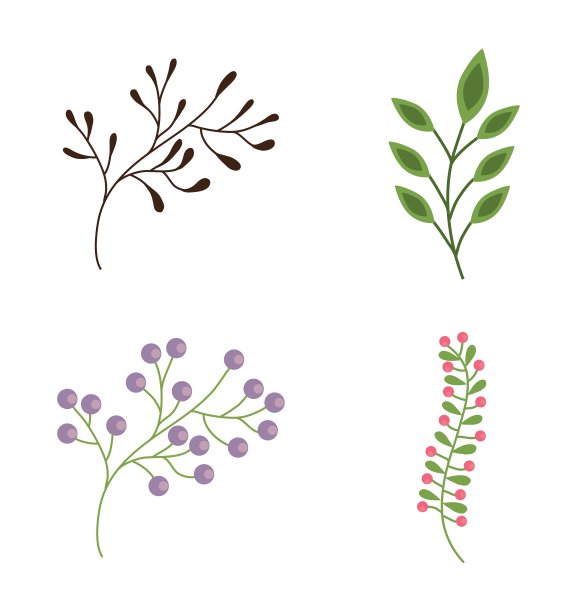 花卉设计园林概念丰富多彩图片下载