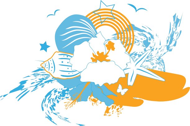 背景与热带花和贝壳图片下载