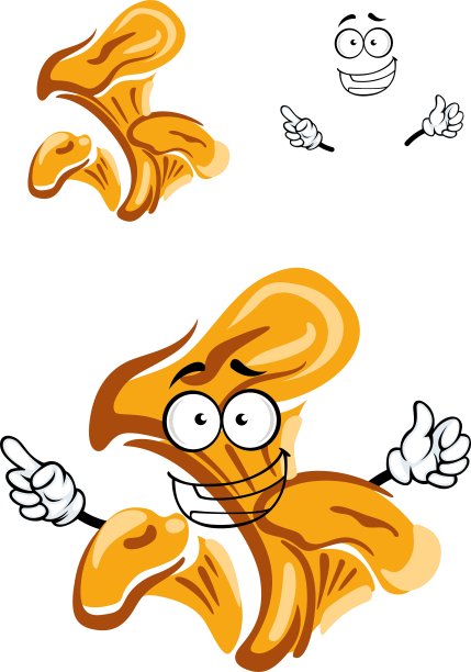 卡通隔离橙鸡油菌图片下载