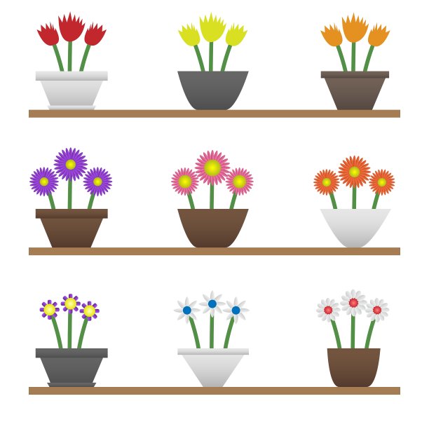 五彩缤纷的盆花图片下载