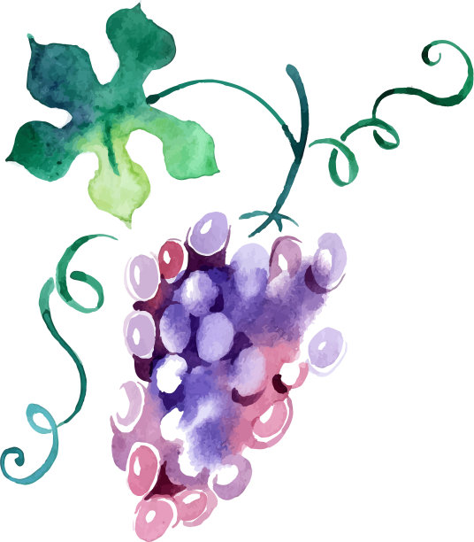 画水彩葡萄图片下载