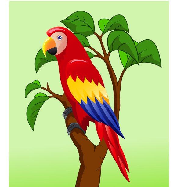 有趣的鹦鹉图片下载