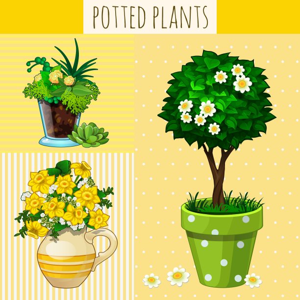 花盆里有三种不同的花图片下载