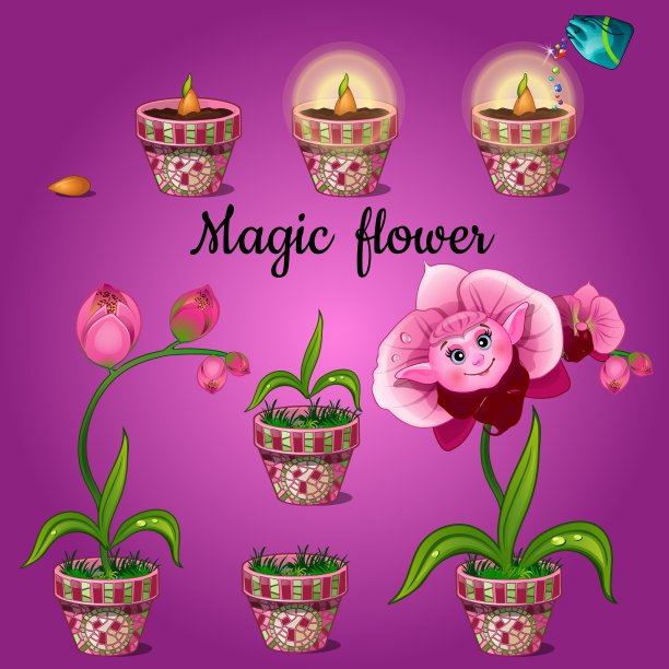 培育阶段神奇蝴蝶兰图片下载