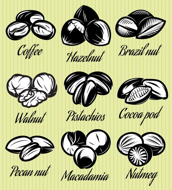 一组符号模式不同的种子坚果图片下载