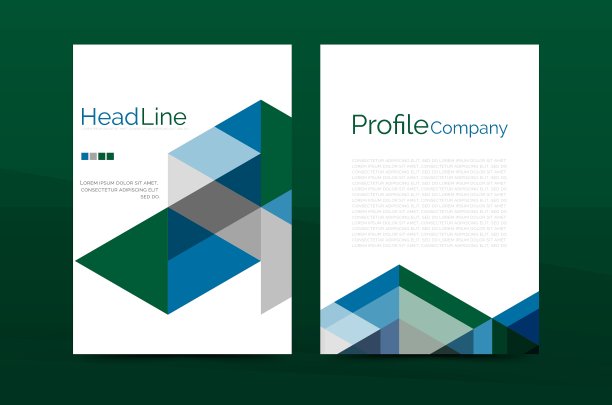 几何a4头版商业年度报告图片下载