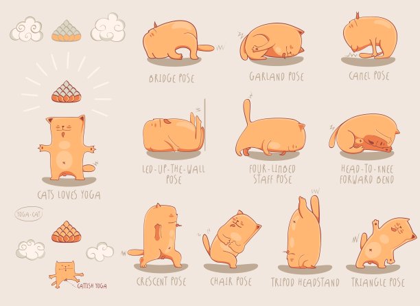 红色瑜伽猫套装图片下载